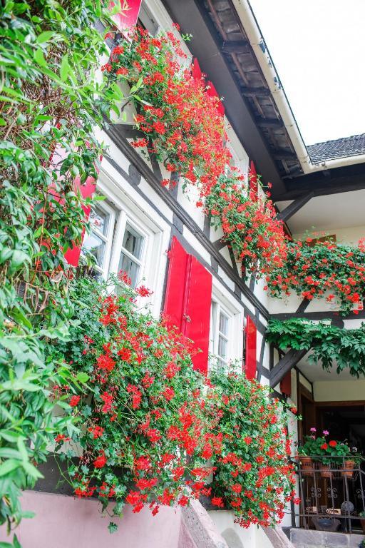 Hotel De Charme 'Zum Schiff' Iffezheim Exteriér fotografie